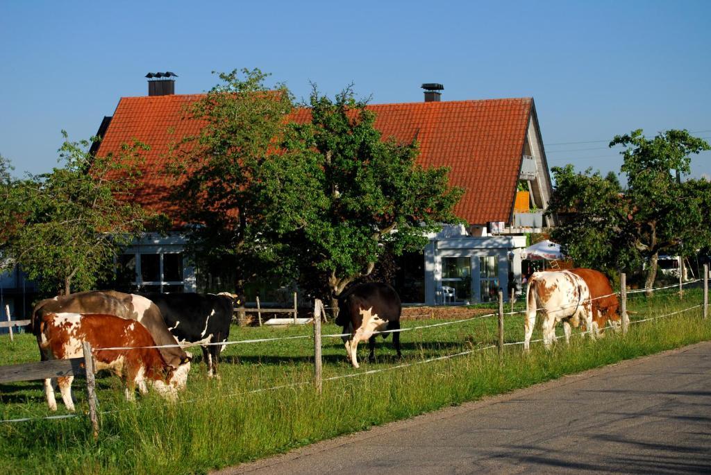 Wellnesshotel Schiesselhof Grafenhausen Pokój zdjęcie