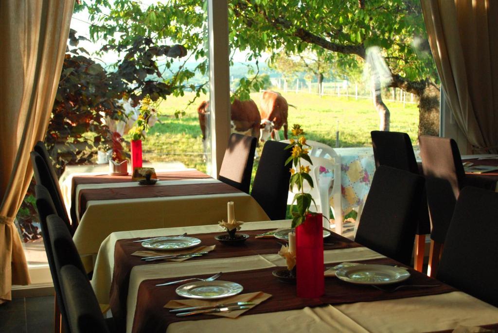 Wellnesshotel Schiesselhof Grafenhausen Pokój zdjęcie